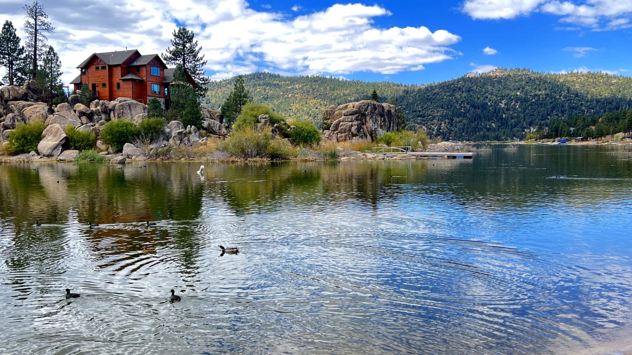 Ducks paddling near the rocky shoreline of Big Bear Lake