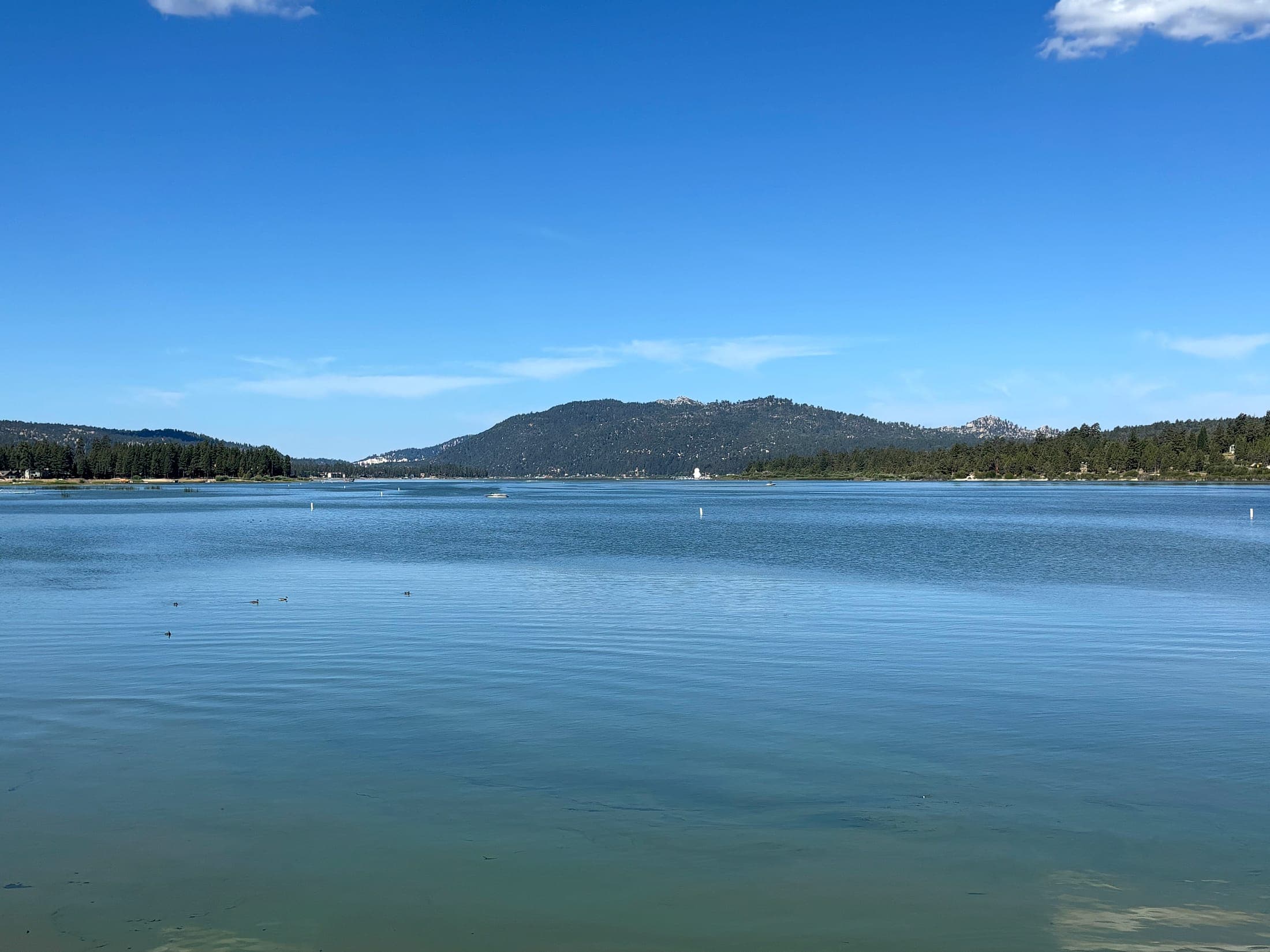 Open water on Big Bear Lake with a pine-covered mountain ridge on the far shore