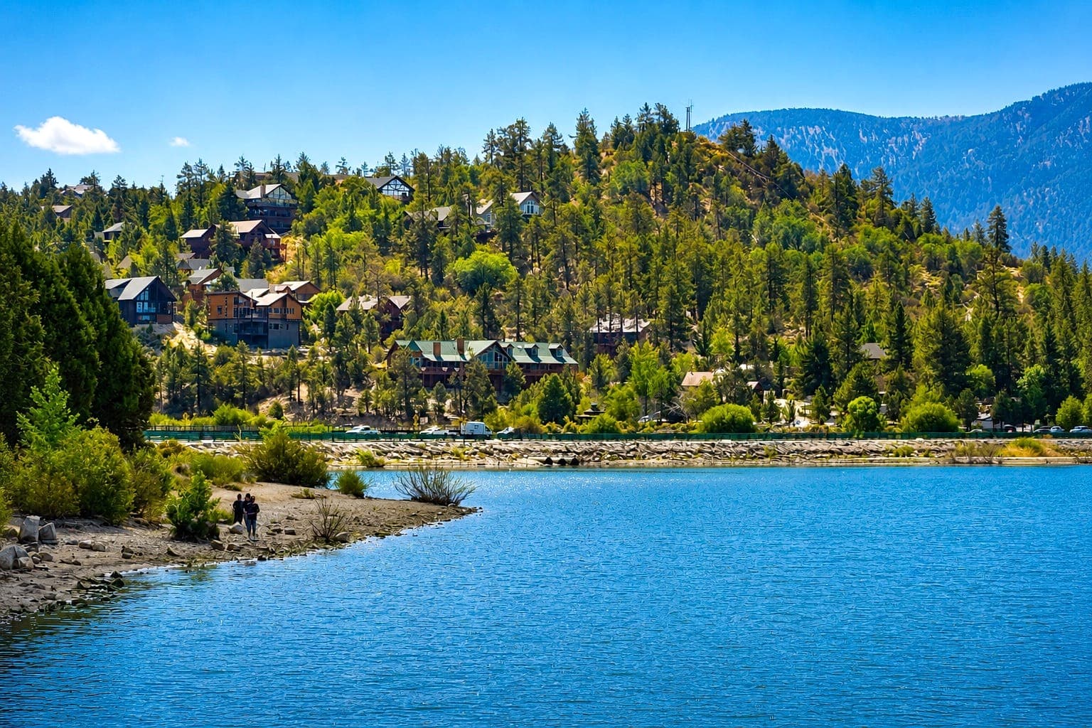 Big Bear Lake cove, roadside, and mountain homes on a forested hillside