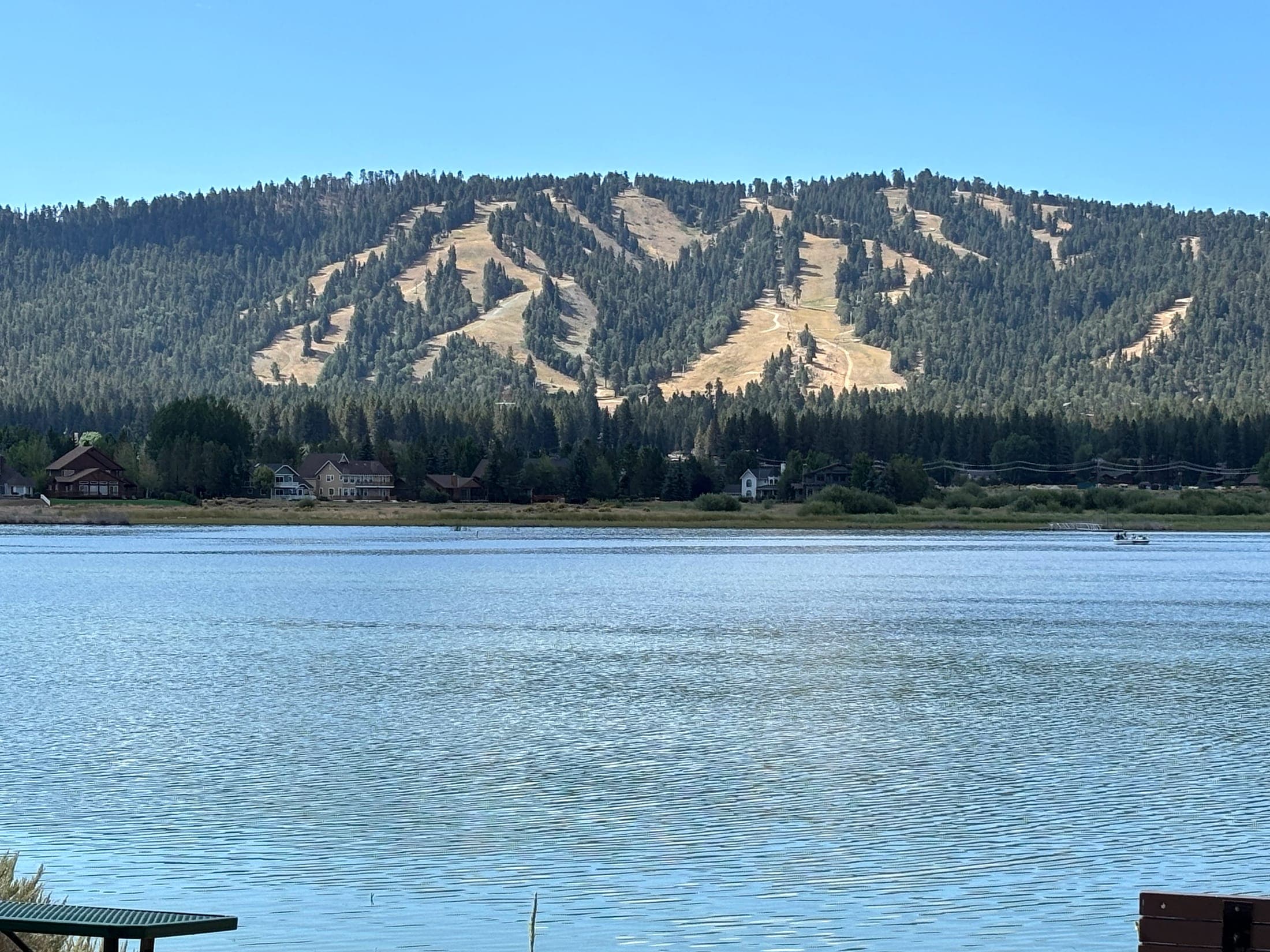 Summer ski runs on the mountain above shoreline homes on Big Bear Lake
