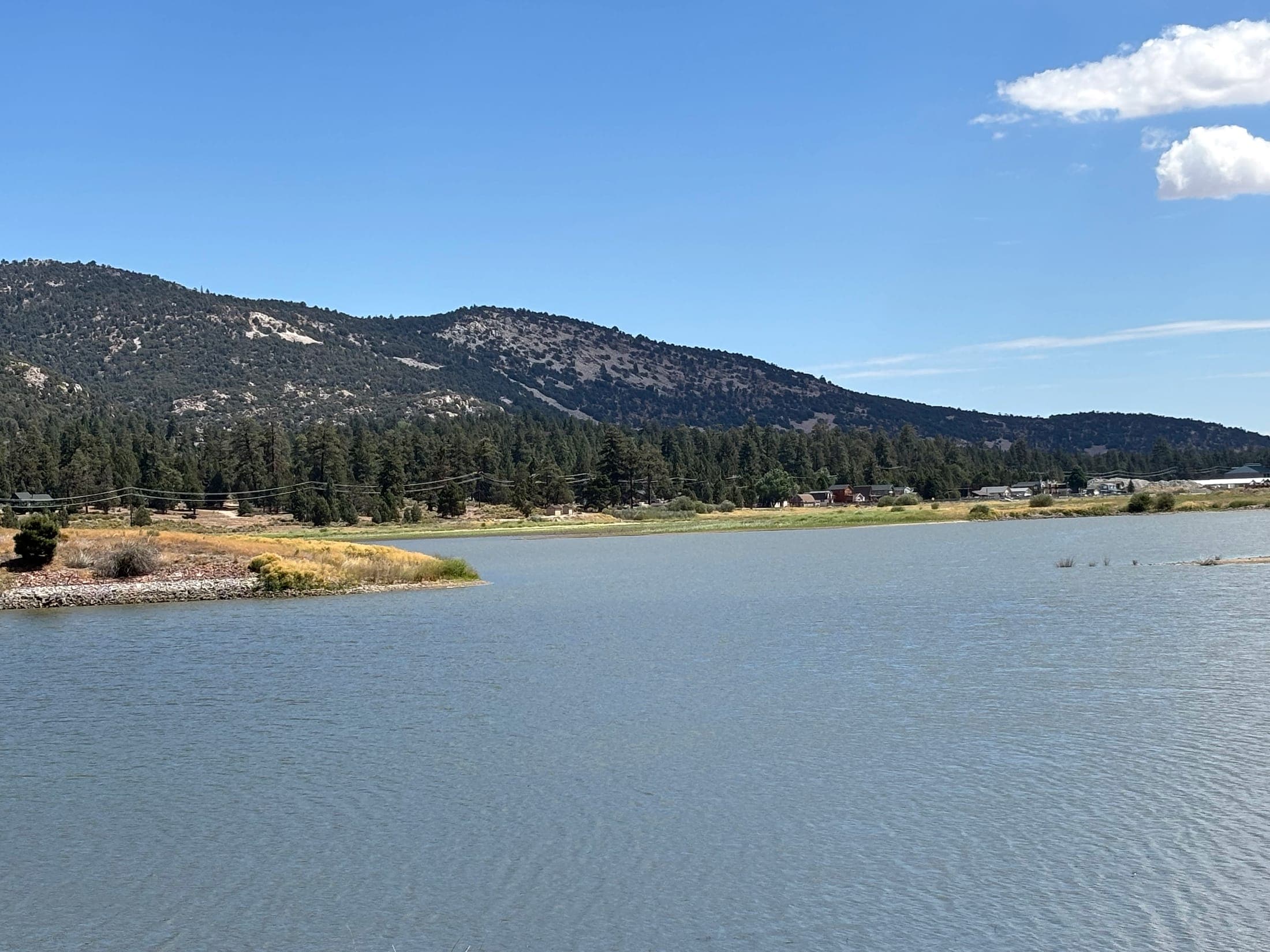 Pine forest and rocky slopes along the shore of Big Bear Lake.