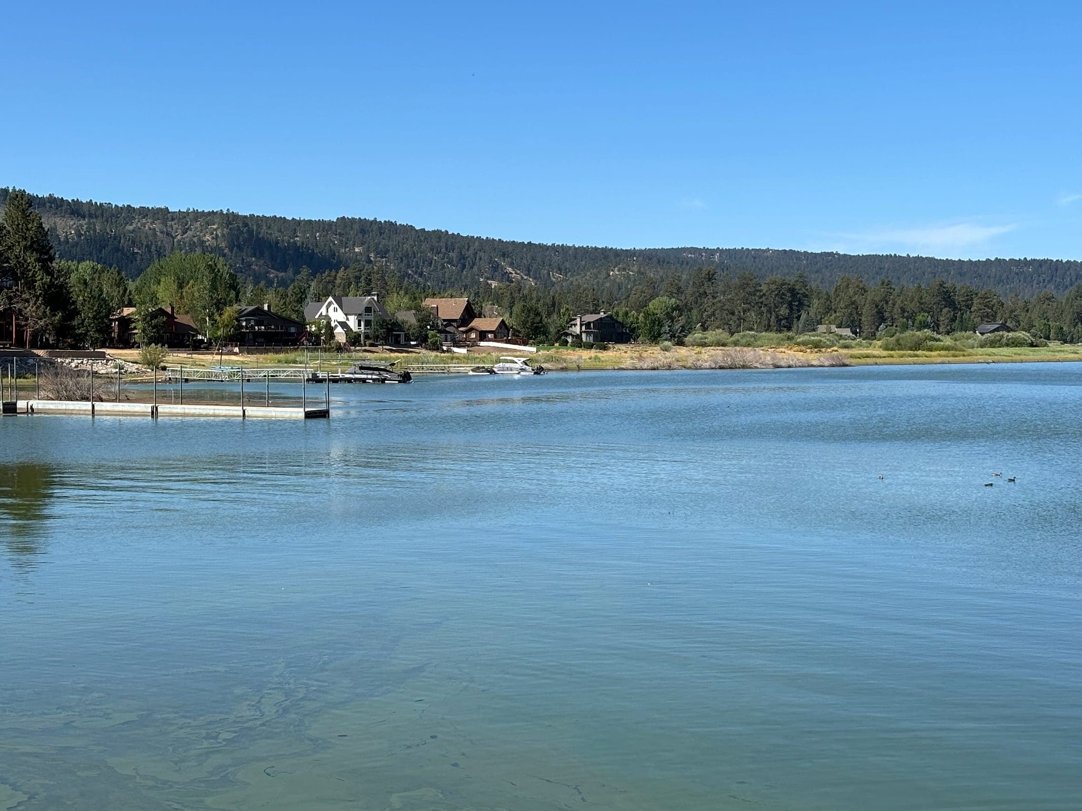 Lakefront houses seen across Big Bear Lake with a forested mountain behind the trees