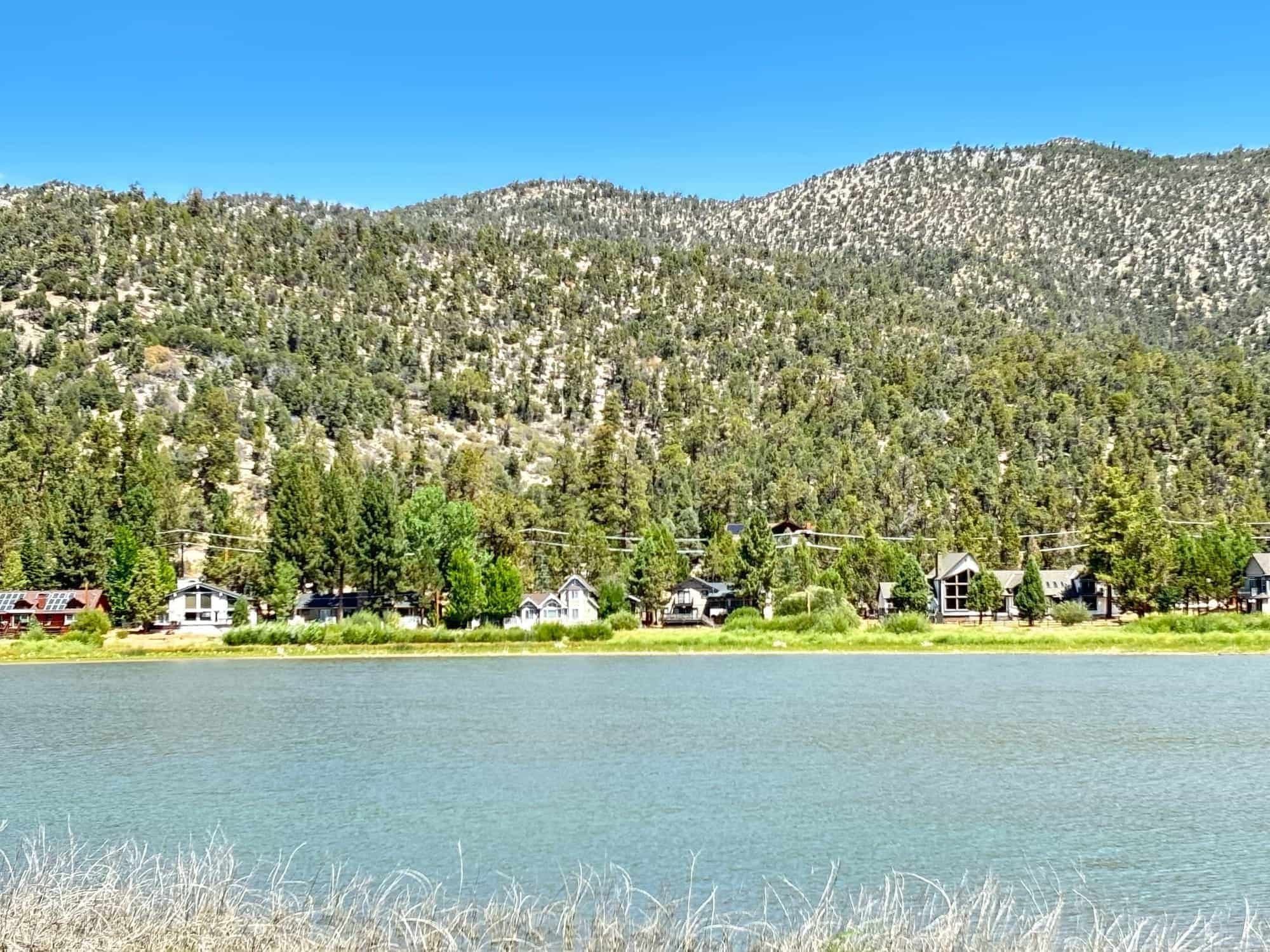 Lakefront mountain homes along Big Bear Lake seen from the water with a forested ridge behind