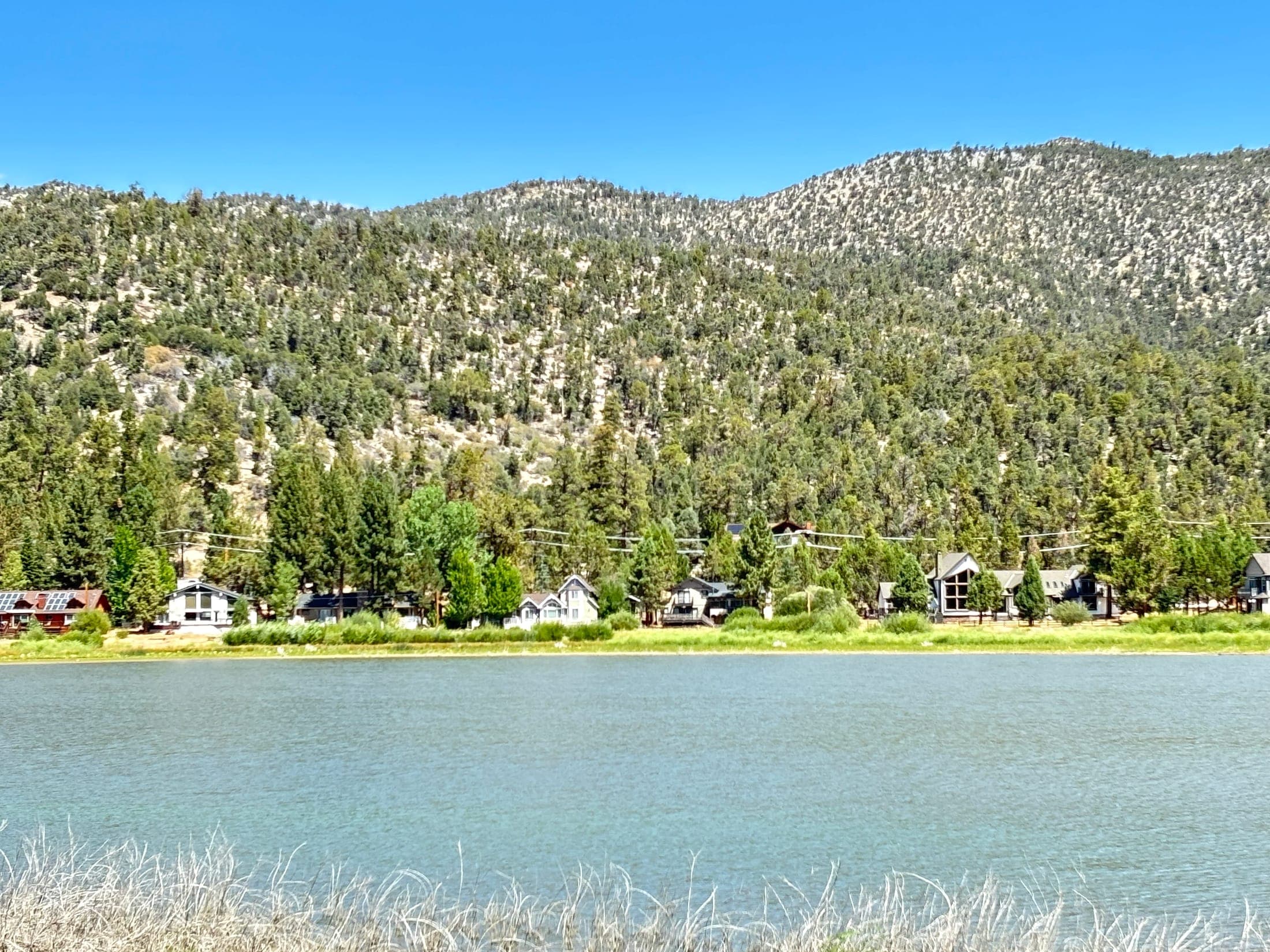 Lakefront mountain homes along Big Bear Lake seen from the water with a forested ridge behind