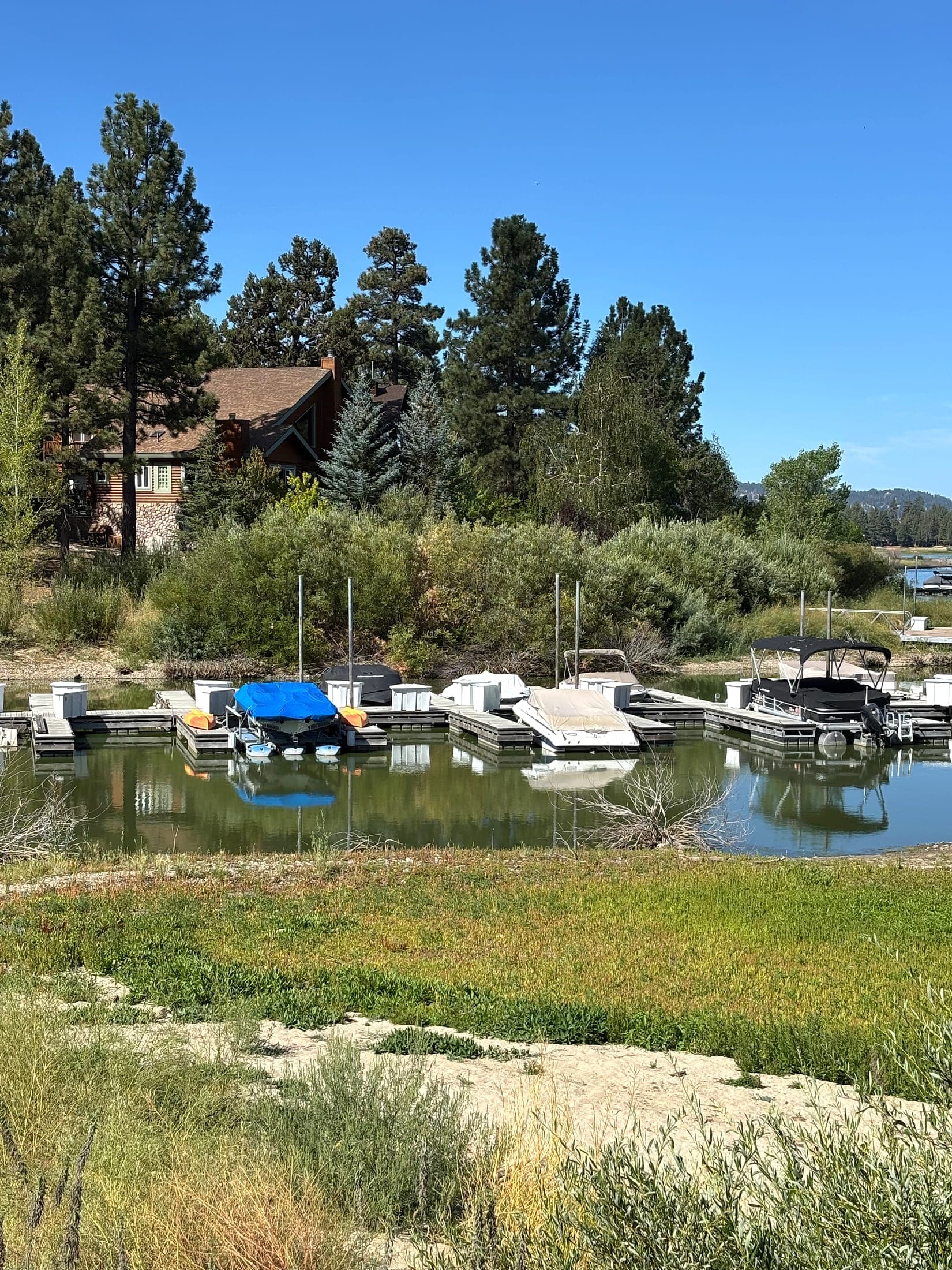 Pontoon boats at a pine-lined Big Bear Lake dock, community recreation not a house listing
