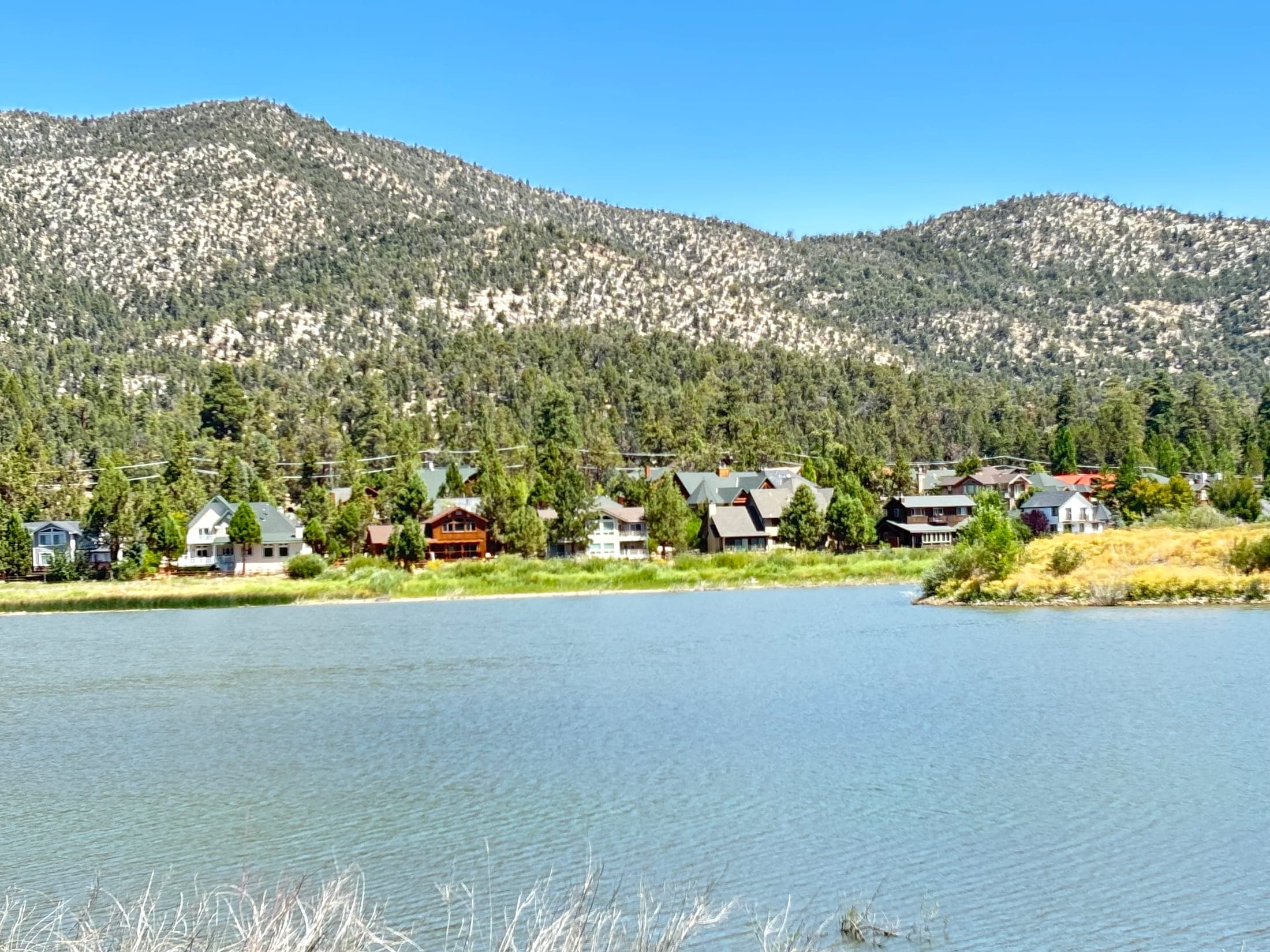 Cabins among the trees along the residential shore of Big Bear Lake.