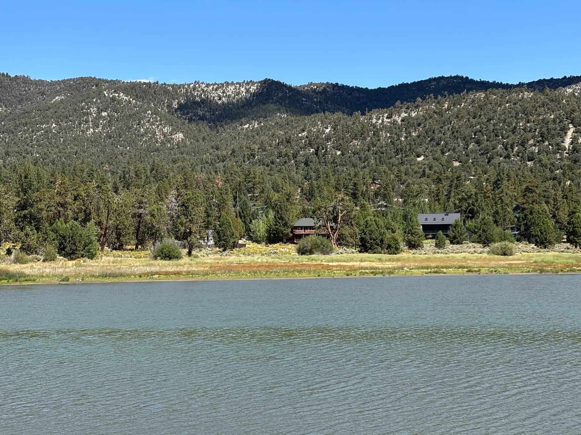 Cabins among the pines on Big Bear Lake