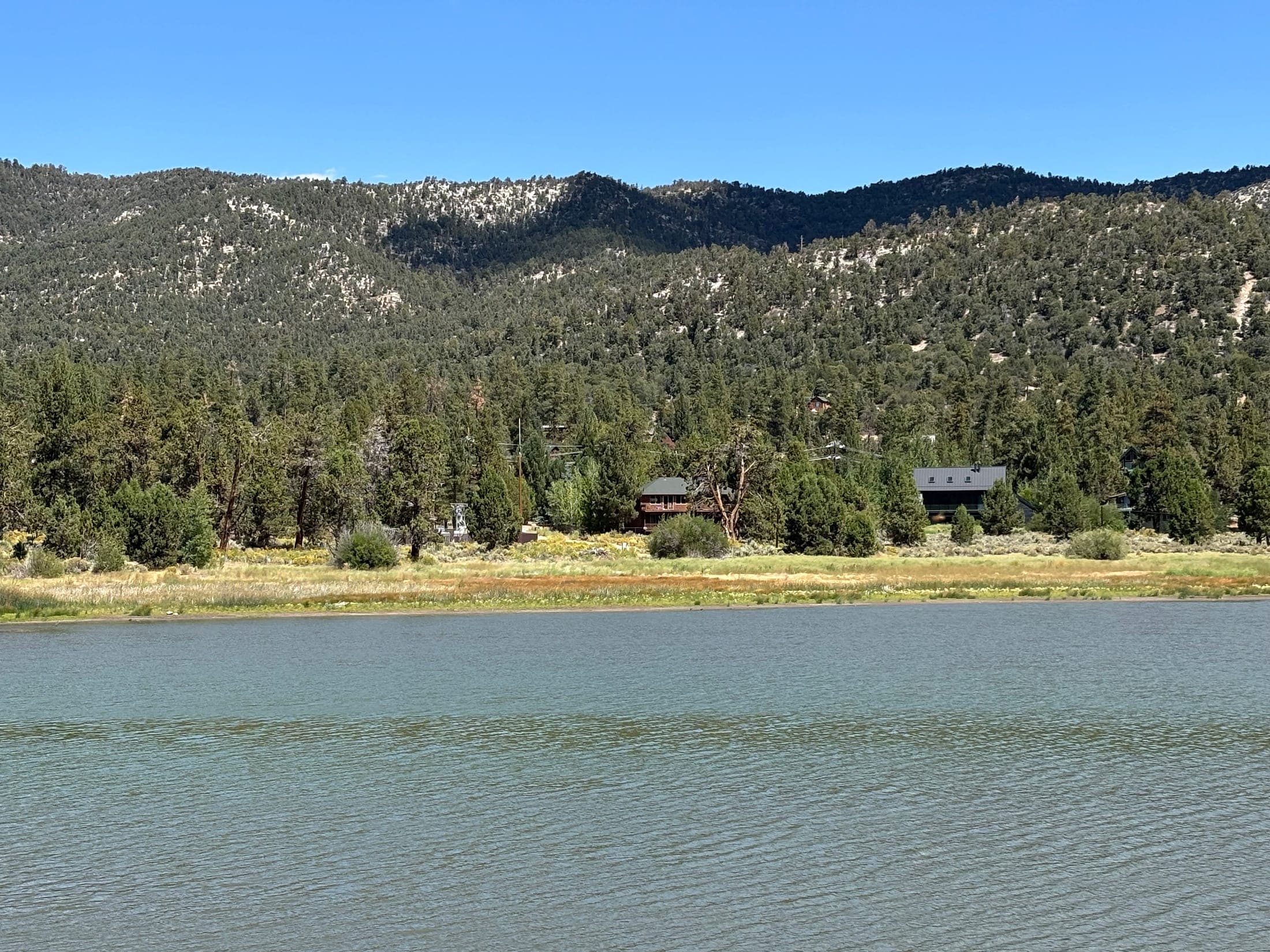 Mountain homes among pines on the Big Bear Lake shoreline, a community view not a listing photo