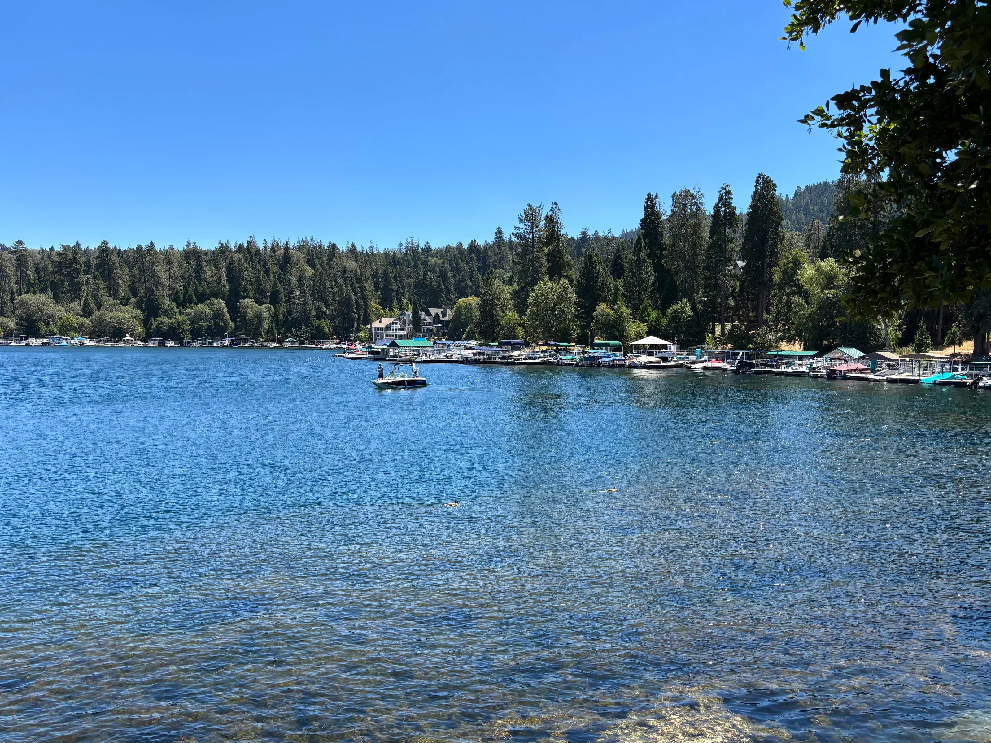 Clear Lake Arrowhead water with shoreline docks and pine forest beyond