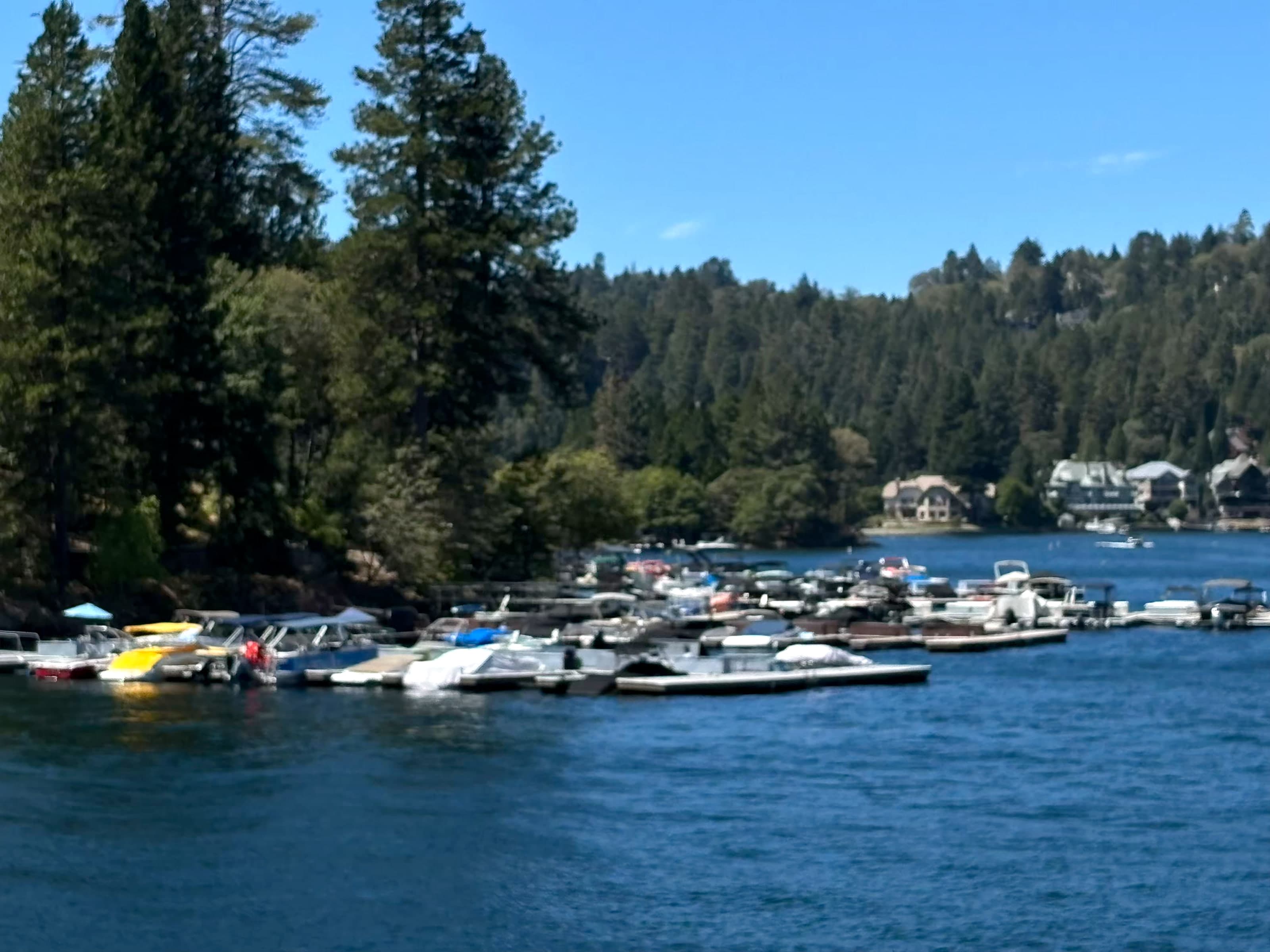 Crowded boat docks in a Lake Arrowhead cove with forested shoreline.