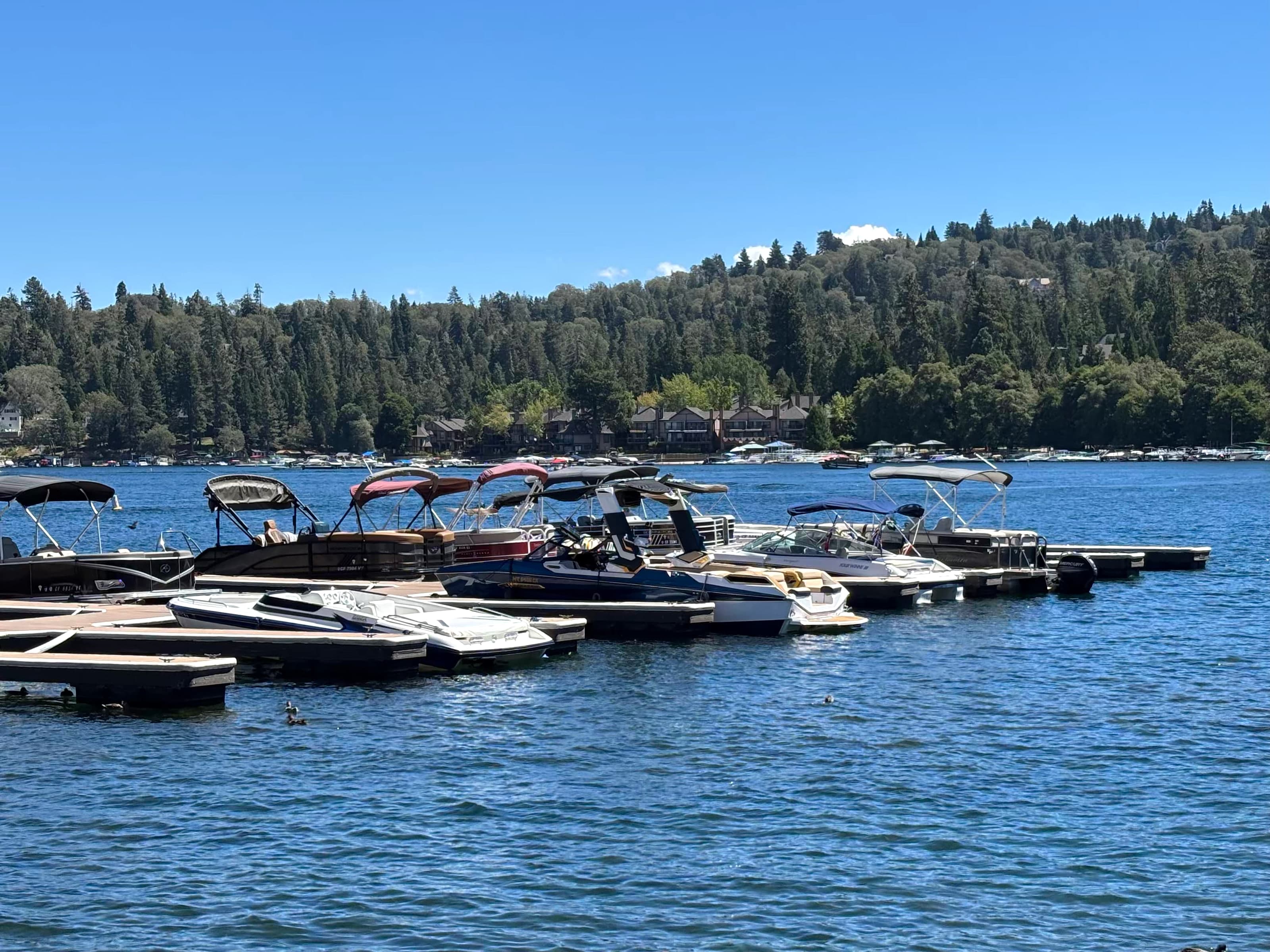Pontoon boats at a Lake Arrowhead marina with lakefront homes among pines.