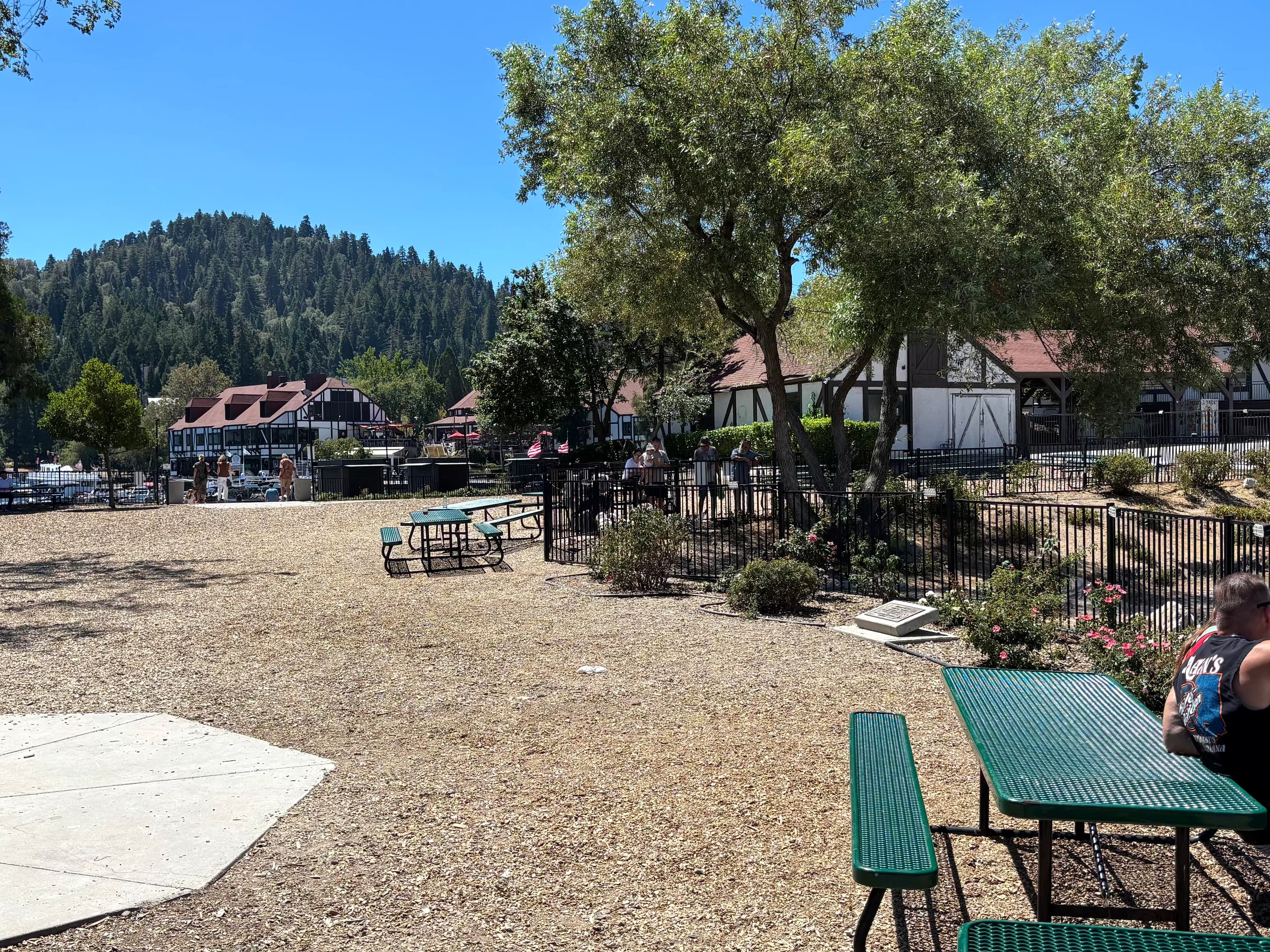 Picnic tables at Lake Arrowhead Village with Tudor buildings and a forested mountain